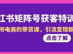 小红书矩阵号获客特训营-第10期，小红书电商的带货课，引流变现新商机