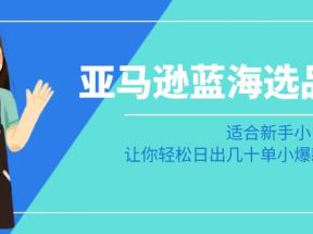 亚马逊蓝海选品课：适合新手小白卖家，让你轻松日出几十单小爆款产品