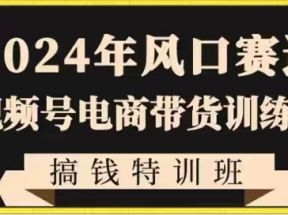 2024年风口赛道视频号电商带货训练营搞钱特训班，带领大家快速入局自媒体电商带货