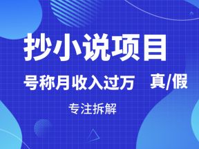 抄小说项目，号称月入过万，到底是否真实，能不能做，详细拆解