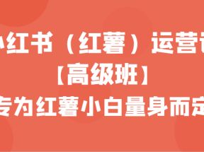 小红书（红薯）运营课【高级班】，专为红薯小白量身而定（42节课）