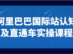 阿里巴巴国际站认知及直通车实操课-国际地产逻辑、国际站运营定位、TOP商家运营思路