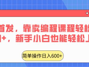 全网首发，靠卖编程课程轻松日入600+，新手小白也能轻松上手