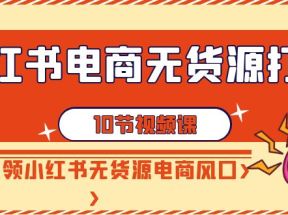 小红书电商无货源打卡，抢先占领小红书无货源电商风口（10节课）