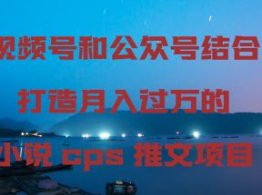 视频号和公众号结合打造月入过万的小说cps推文项目，包括市面上面的各种思路详解