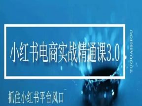 小红书电商实战精通课3.0，抓住小红书平台的风口，不错过有一个赚钱的机会