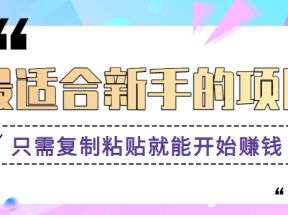 2024最适合新手操作的项目，新手小白只需复制粘贴就能开始赚钱【视频教程+软件】