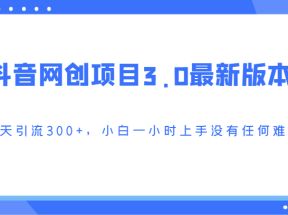 抖音网创项目3.0最新版本，每天引流300+，小白一小时上手没有任何难度