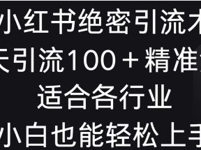 小红书绝密引流术，一天引流100＋精准流量，适合各个行业，小白也能轻松上手