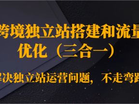 跨境独立站搭建和流量优化（三合一）解决独立站运营问题，不走弯路！