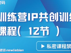 导师训练营3.0IP共创训练营私密实操课程（12节）-卖项目的密码成功秘诀