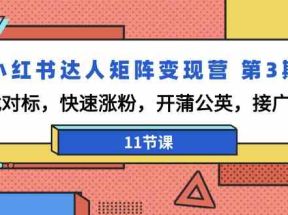 小红书达人矩阵变现营第3期，找对标，快速涨粉，开蒲公英，接广告（11节课）