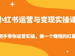 小红书运营与变现实操课-手把手带你运营实操，做一个赚钱的红薯号