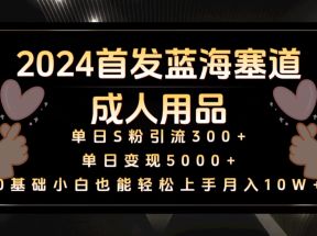 2024首发蓝海塞道成人用品，月入10W+保姆教程