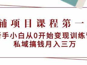 教辅项目课程第一期：新手小白从0开始变现训练营 私域搞钱月入三万