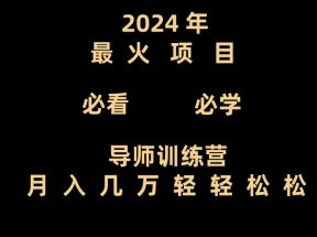 导师训练营互联网最牛逼的项目没有之一，新手小白必学，月入3万+轻轻松松