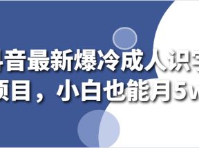 抖音最新爆冷成人识字项目，小白也能月5w