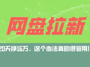 网盘拉新+私域全自动玩法，0粉起号，小白可做，当天见收益，已测单日破5000