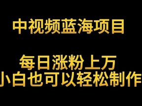 中视频蓝海项目，解读英雄人物生平，每日涨粉上万，小白也可以轻松制作，月入过万