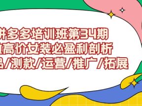 拼多多培训班第34期：做高价女装必盈利剖析 选品/测款/运营/推广/拓展