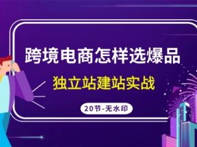 跨境电商怎样选爆品，独立站建站实战（20节高清课）