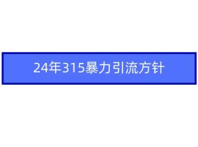 2024年自媒体爆款视频制作，快速涨粉暴力引流方针！