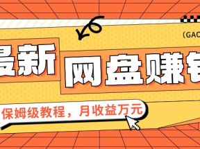 2024最新网盘赚钱项目，零成本零门槛月收益万元的保姆级教程【视频教程】