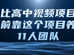 中视频项目，目前靠这个项目养了11人团队【视频课程】