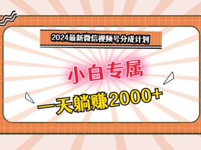 2024最新微信视频号分成计划，对新人友好，一天躺赚2000+