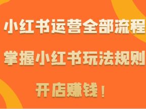 小红书运营全部流程，掌握小红书玩法规则，开店赚钱！