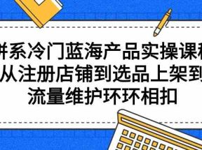 拼系冷门蓝海产品实操课程，从注册店铺到选品上架到流量维护环环相扣