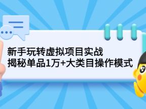 新手玩转虚拟项目实战，揭秘单品1万+大类目操作模式