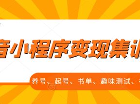 抖音小程序变现集训课，养号、起号、书单、趣味测试、视频剪辑，全套流程