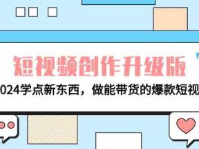 电商人必看短视频创作升级版：2024学点新东西，做能带货的爆款短视频