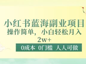 0成本0门槛小红书蓝海副业项目，操作简单，小白轻松月入2W