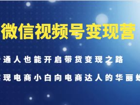 微信视频号变现营-普通人也能开启带货变现之路，实现电商小白向电商达人的华丽蜕变