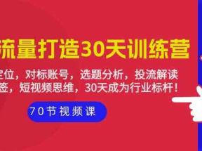 实体流量打造30天训练营：个人定位，对标账号，选题分析，投流解读（70节）