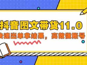 抖音图文带货11.0，快速出单拿结果，高效做账号（基础课+精英课 92节高清无水印）