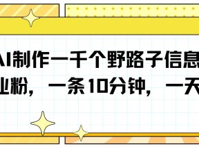 利用AI制作一千个野路子信息差引流创业粉，一条10分钟，一天50+