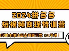 2024拼多多短视频变现特训营，知识的丰厚比起金钱更可靠（11节课）