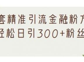 1套精准引流金融粉方法，轻松日引300+粉丝【视频课程】