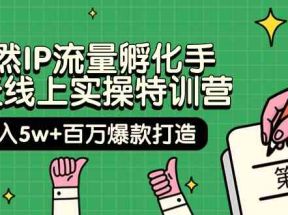 自然IP流量孵化手14天线上实操特训营【第9期】月入5w+百万爆款打造 (74节)