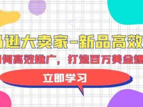 亚马逊大卖家新品高效推广，分享如何高效推广，打造百万美金爆款单品