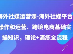 海外社媒运营课-海外社媒平台操作和运营、跨境电商基础实操知识，理论+演练全流程