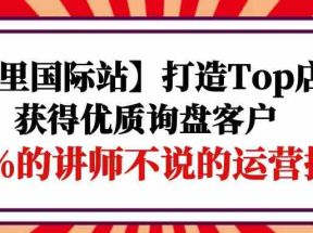 【阿里国际站】打造Top店铺-获得优质询盘客户，95%的讲师不说的运营技巧