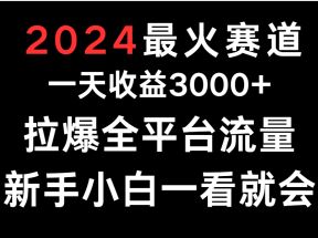 2024最火赛道，一天收一3000+.拉爆全平台流量，新手小白一看就会