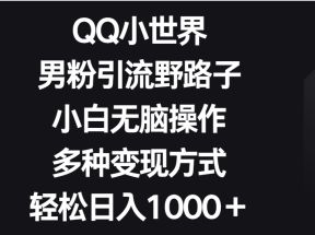 QQ小世界男粉引流野路子，小白无脑操作，多种变现方式轻松日入1000＋