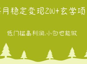 每月稳定变现2W+玄学项目，低门槛高利润,小白也能做 教程+详解