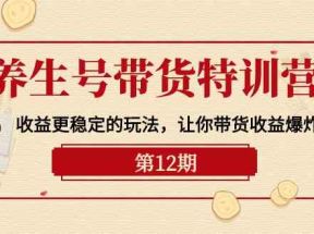 养生号带货特训营【12期】收益更稳定的玩法，让你带货收益爆炸（9节直播课）