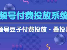 视频号付费投放系统课，视频号豆子付费投放·叠投打法（高清视频课）